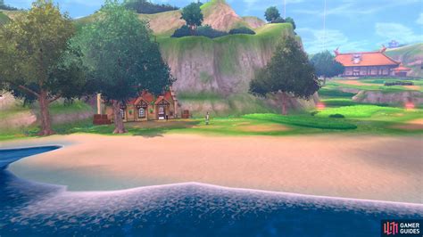 pokemon food seller wild area